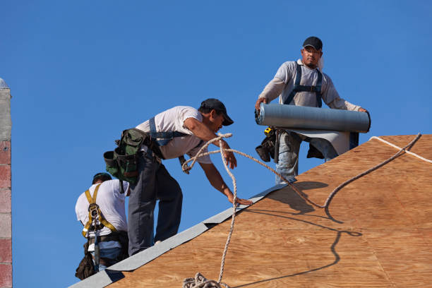 Best Local Roofing Companies  in Stem, NC