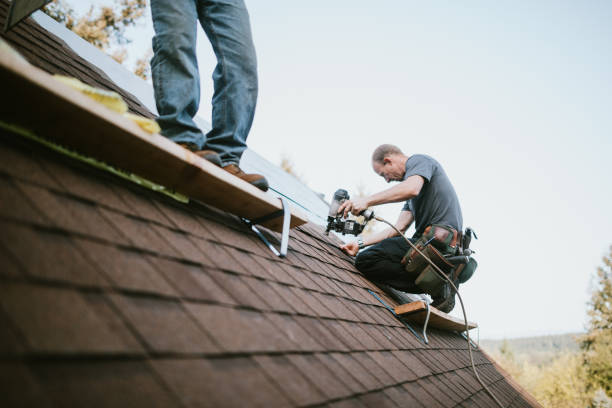 Best Metal Roofing Contractor  in Stem, NC